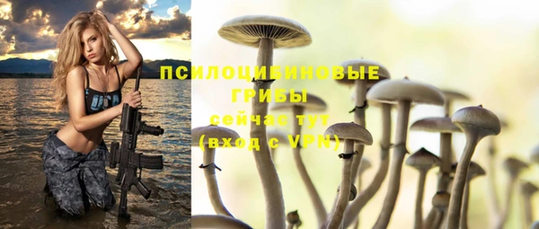 бутират Алзамай