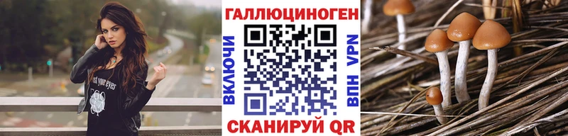 Псилоцибиновые грибы прущие грибы  Слободской 